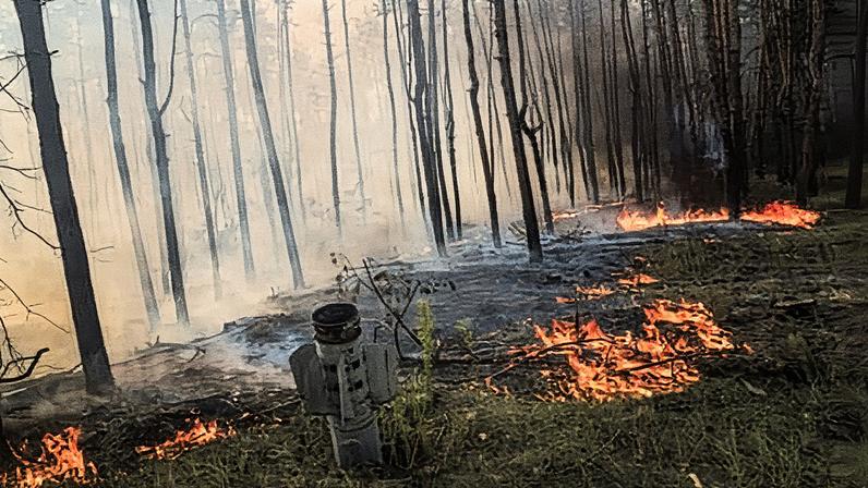A forest fire after an attack near Sloviansk in Donetsk in August 2024. Nearly a million hectares of land burned in Ukraine last year.