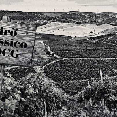 Notícias de vinhos italianos resumem os principais destaques