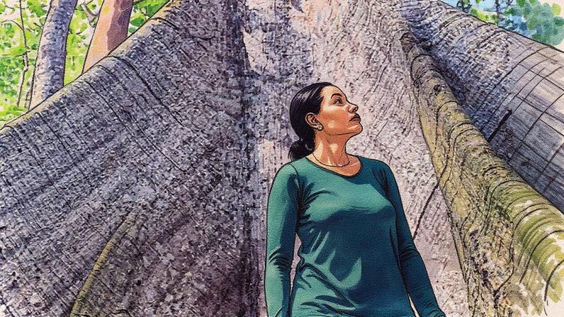 Trilha do Piquiá leva viajantes até uma Samaúma, árvore colossal que chega a 70 metros • CNN Viagem & Gastronomia