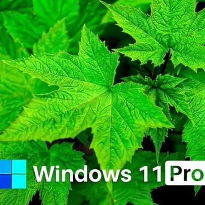 Notebook HP 2025 fica quase de graça com 73% de desconto da Amazon e acessórios