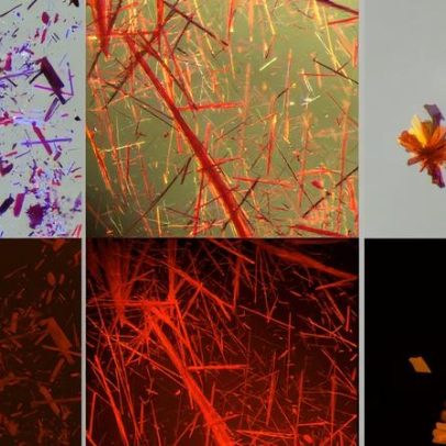 Químicos criam corantes fluorescentes vermelhos para imagens biomédicas mais nítidas