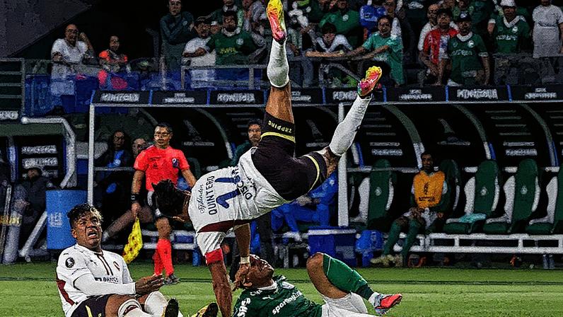 Palmeiras x LDU pela semifinal da Copa Libertadores (Foto: Nelson ALMEIDA / AFP)
