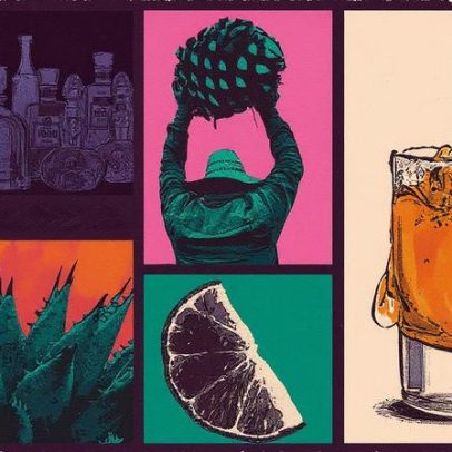 Da planta ao copo, a origem da tequila é revelada
