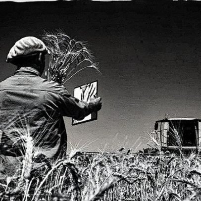 Argentina caminha para colheita recorde de trigo, Brasil é seu maior comprador