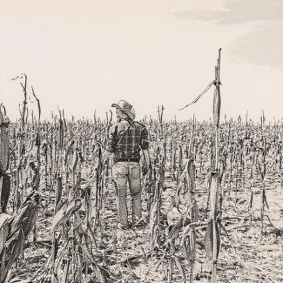Buraco de 3 bi expõe risco de área plantada ficar sem seguro rural em 2025
