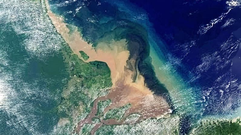 Entidades ambientais acionam a Justiça para suspender licença para a Petrobras na Foz do Amazonas