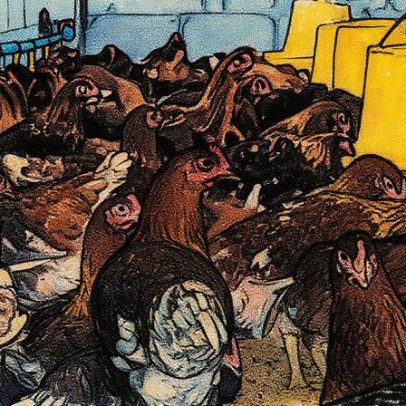 Agricultura prorroga estado de emergência zoossanitária por 180 dias