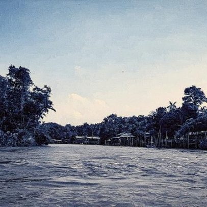 Ilha do Combú ganha rota turística que impulsiona ecoturismo em Belém