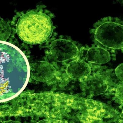 Inteligência artificial mapeia ação de novo antibiótico em bactérias intestinais