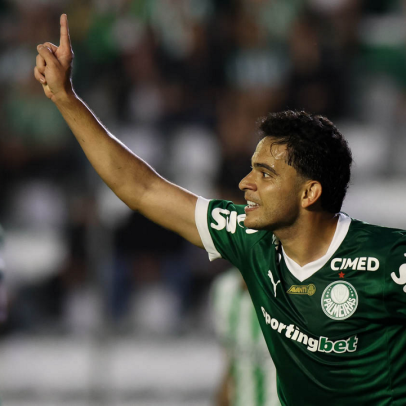 Brasileirão: chances de título de Palmeiras e Flamengo são atualizadas; veja