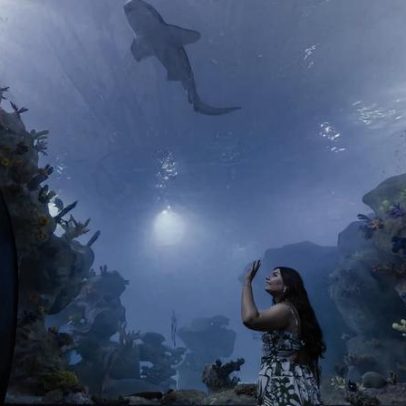 Foz do Iguaçu inaugura aquário e cafeteria em antiga usina das Cataratas