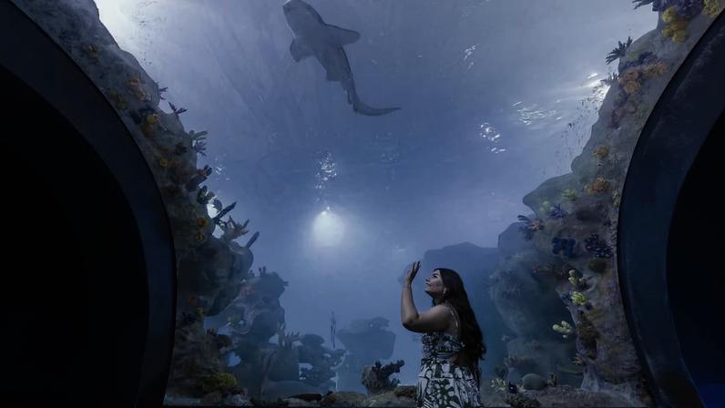 AquaFoz, em Foz do Iguaçu, tem aquário com tubarões e mais de 2 milhões de litros de água salgada