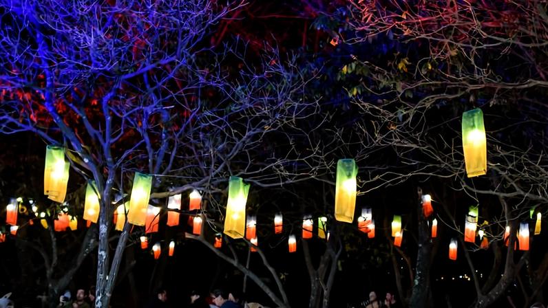 Festival Luzes da Coreia, que acontece no largo da Batata