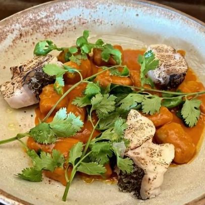 Sabores do Norte e Nordeste ganham destaque no Fitó Contemporânea