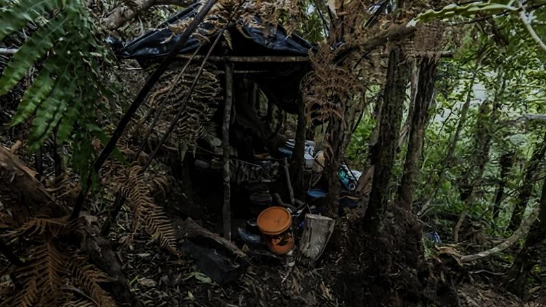 Caso Tom Phillips: NZ investiga desaparecimento de pai fugitivo e filhos