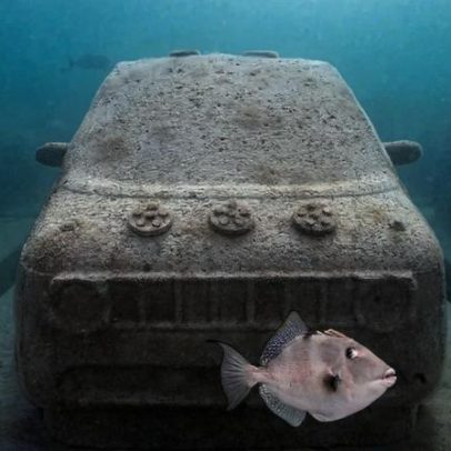 Parque subaquático de ecoesculturas de Miami: carros de concreto para recifes
