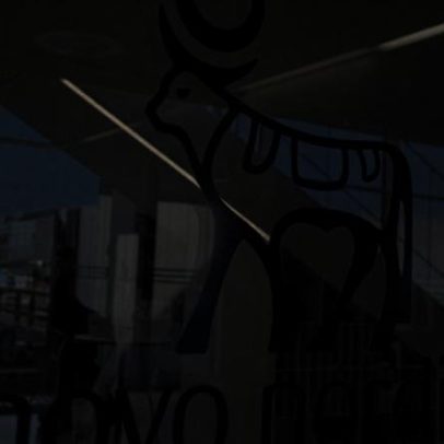 Fracasso de testes de semaglutida abala Novo Nordisk