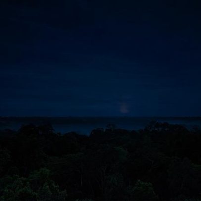 Biodiversidade oculta da Amazônia é revelada em diferentes níveis da floresta