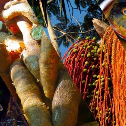 Mudança na alimentação ameaça cultura e saúde de ribeirinhos da Amazônia