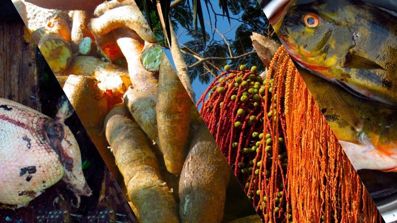 A imagem está dividida em quatro faixas diagonais, cada uma mostrando um alimento típico da Amazônia. Na primeira faixa, à esquerda, há um tatu com a carapaça clara e manchada, colocado sobre um tronco de madeira. Na segunda faixa, aparecem várias raízes de mandioca recém-colhidas, de casca marrom e interior claro. A terceira mostra um cacho de pupunha, com frutos vermelhos e verdes pendendo de uma palmeira sob o céu azul. Na última faixa, à direita, há um peixe amazônico de escamas amarelas e alaranjadas, colocado dentro de uma vasinha de mental.