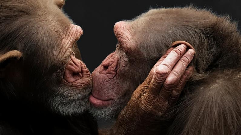 (John More/Getty Images)