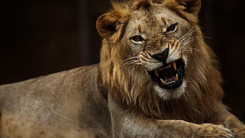 (Arun Roisri/Getty Images)