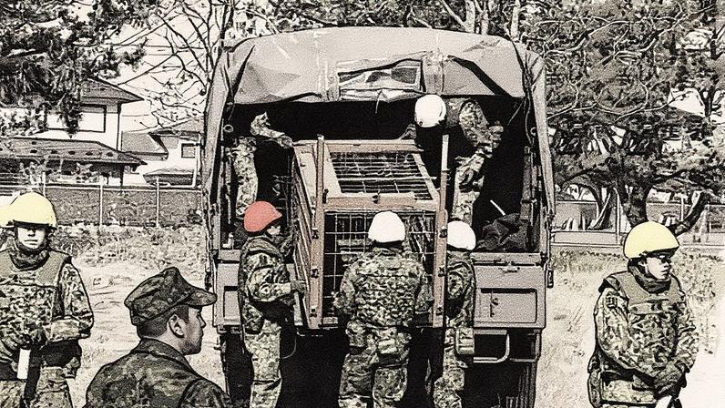 Soldiers will set traps, transport local hunters and help dispose of dead bears. Officials said soldiers would not use firearms to cull the bears.