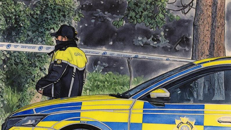 Det Declan O’Connor told the court it was alleged Pollock was planning a terrorist attack on behalf of a ‘rightwing extremist group’.