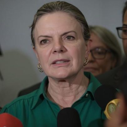 Gleisi: derrubada de vetos do licenciamento ambiental prejudica o Brasil