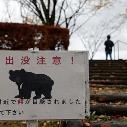 Urso ataca homem em banheiro público no Japão