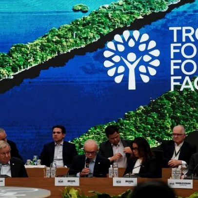 Fundo da COP30 para florestas tropicais pode ampliar dívida e desmatamento