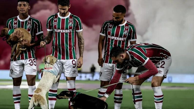 Jogadores do Fluminense com cachorros na entrada do jogo (Foto: Lucas Merçon/ Fluminense FC)