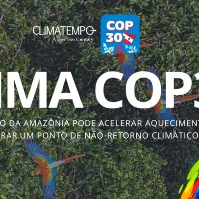 Desmatamento na Amazônia pode acelerar aquecimento global e ponto de não-retorno