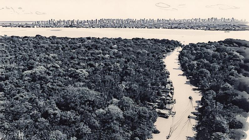 Floresta amazônica na cidade de Belém, no Pará