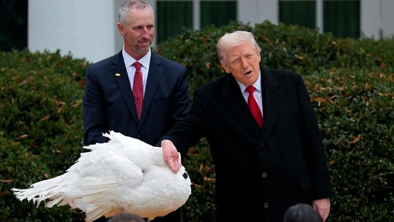 Walt-Steve-foreign-policy-columnist20