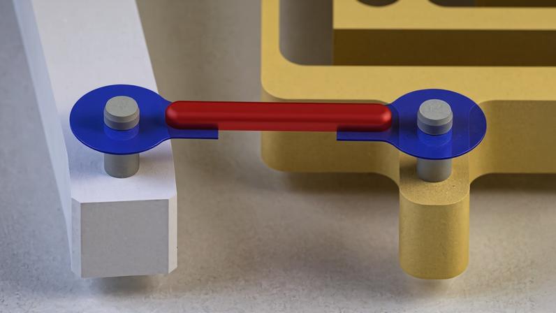 Researchers have developed artificial tendons for muscle-powered robots. They attached the rubber band-like tendons (blue) to either end of a small piece of lab-grown muscle (red), forming a “muscle-tendon unit.”