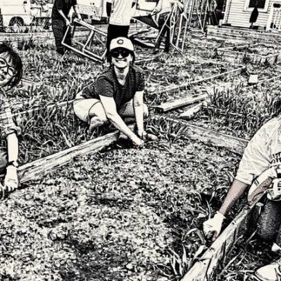Agricultura volta aos centros urbanos