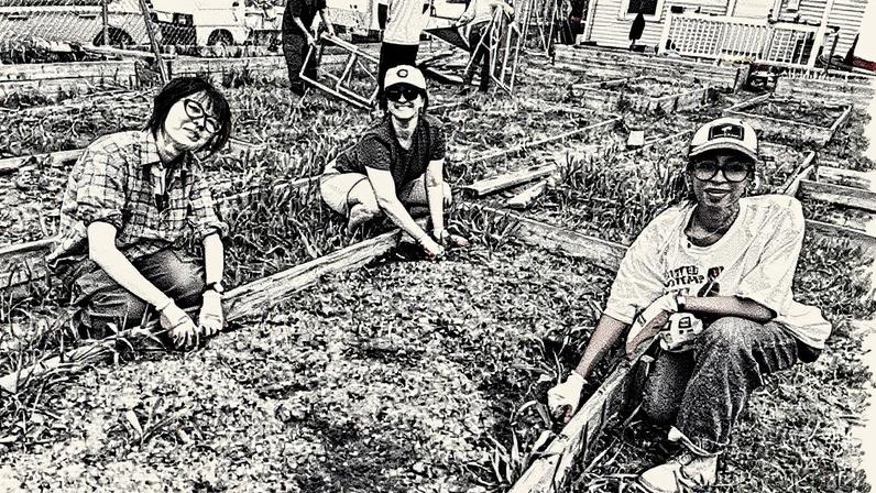 Left to right: Students Kaidi Liu, Zaynab Eltaib, and Olivia Fiol work a plot of urban farmland at The Common Good Co-Op.