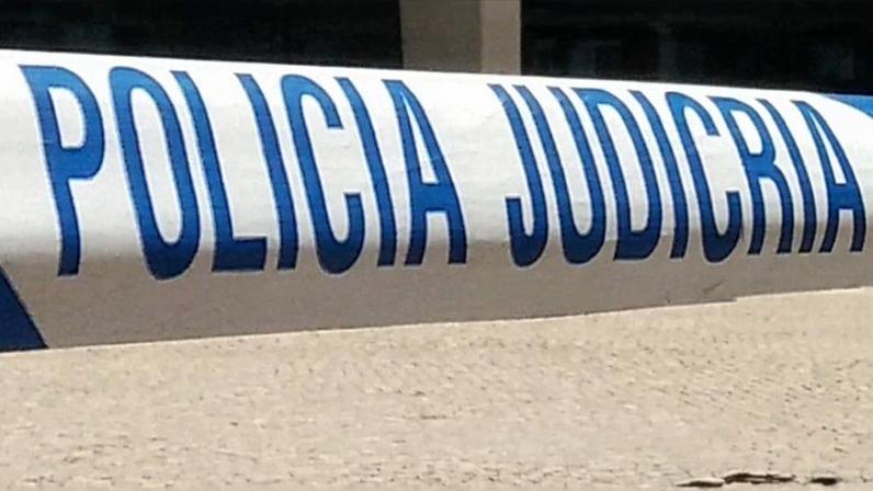 Diário do Distrito
