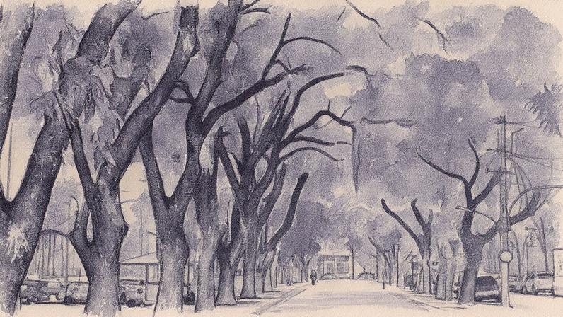 Praça da República em Belém divulga cultura e gastronomia aos domingos