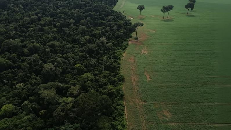 Governo quer regulamentar mercado de carbono até fim de 2026