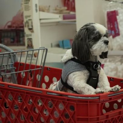 Black Friday nos EUA: menos TVs e mais ração, temporada de compras essenciais