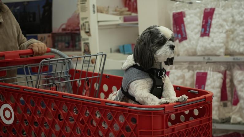 Black Friday nos EUA: menos TVs e mais ração, temporada de compras essenciais