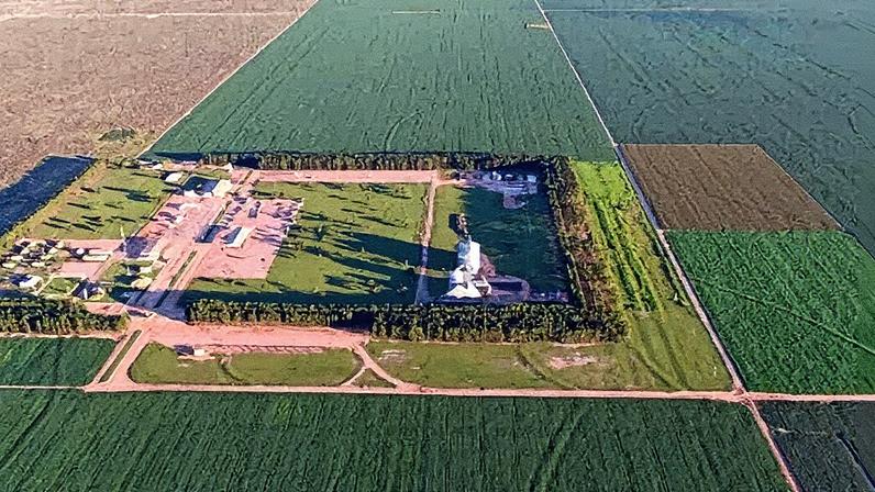 Fazenda Piratini, uma das unidades da SLC
