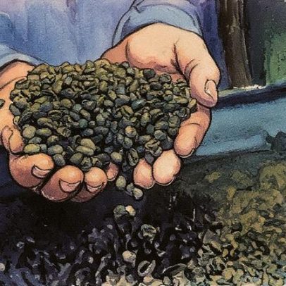 Preços globais do café caem após Trump zerar taxas de produto brasileiro