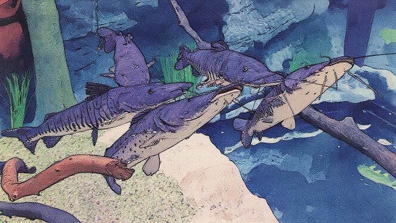 AquaFoz soma um total de 3,3 milhões de litros d' água • Ari Dias