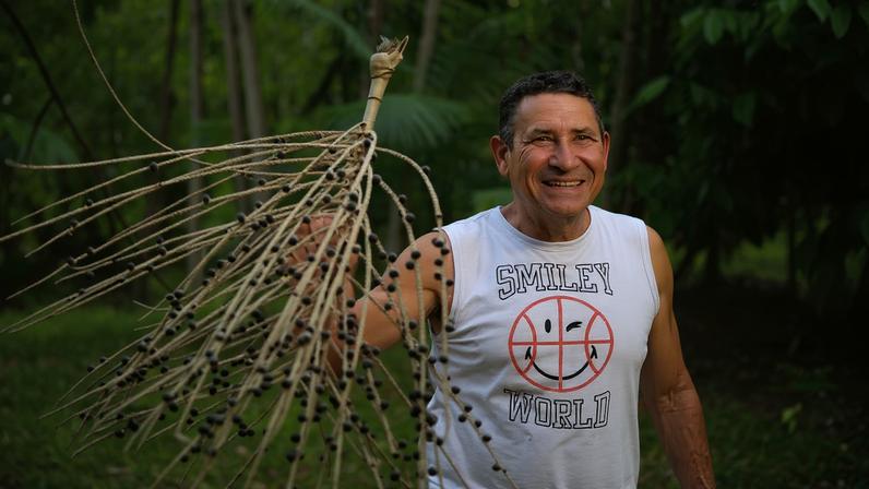 Açaí fresquinho colhido no 'quintal' por seu Nauá no Combu — Foto: Matheus Melo