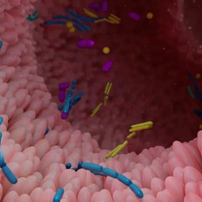 Estudo revela que metade do corpo humano envolve componentes não humanos