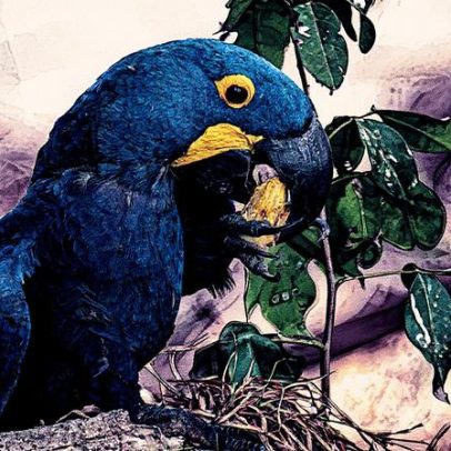 Câmara aprova projeto que tipifica crime de tráfico de animais