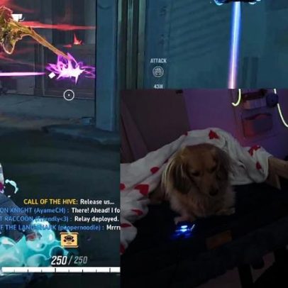 Este cachorro se cura melhor do que a maioria dos meus colegas rivais da Marvel